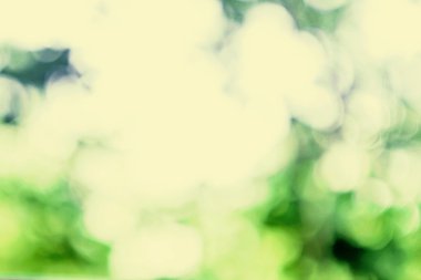 Bahar doğal arka plan