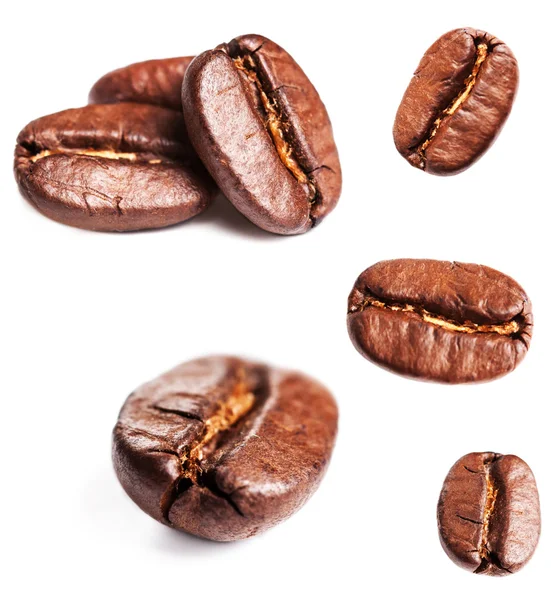 Collection of Coffee beans — Stock Photo, Image
