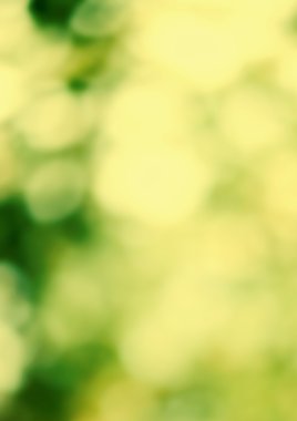 Yaz doğal yeşil arka plan bulanık