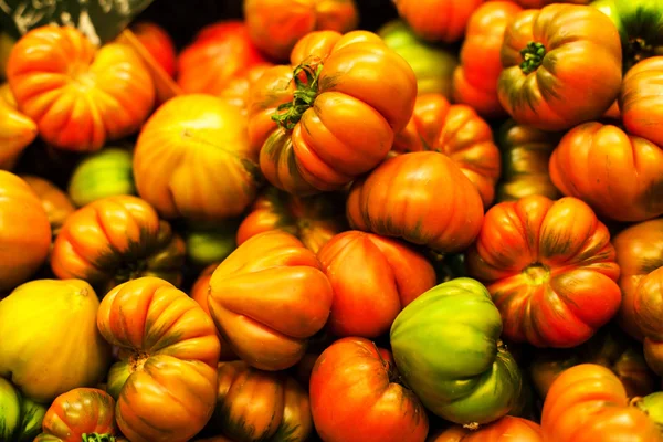 Frische bunte Tomaten — Stockfoto