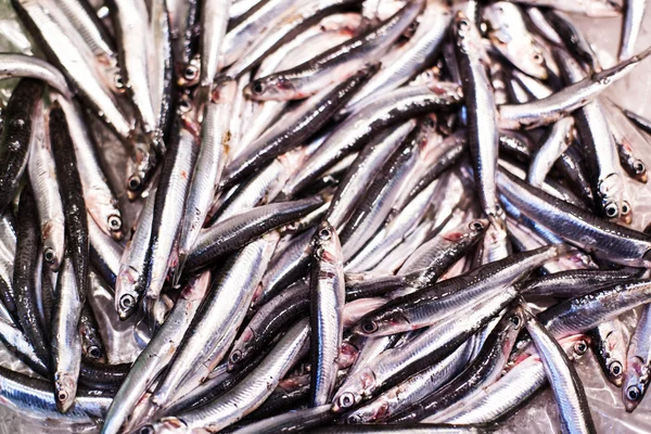 Fresh fish on ice at the market — Stock Photo, Image