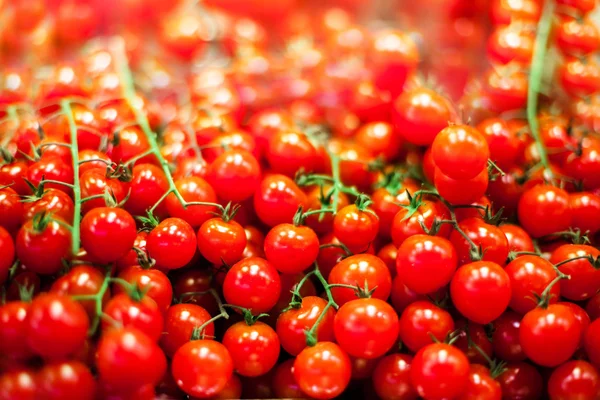 Reife Kirschtomaten — Stockfoto