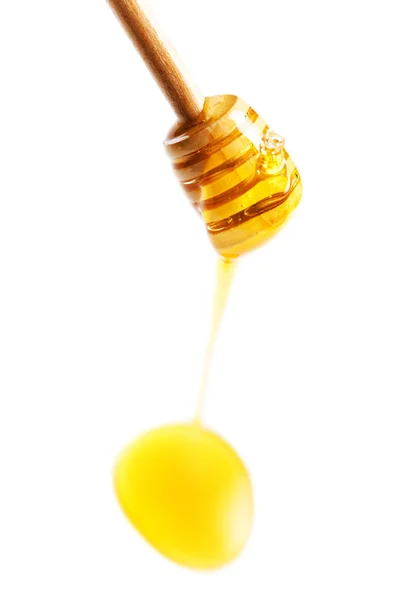 Wooden honey dipper with honey drop — Stock Photo, Image