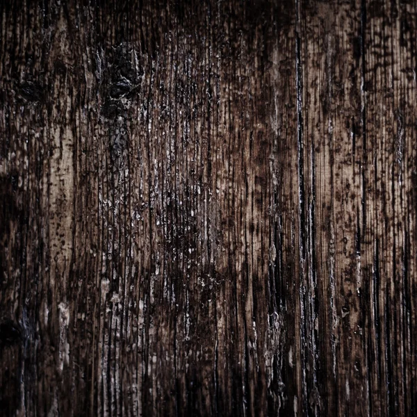 Sztuka tekstura drewna kory — Zdjęcie stockowe