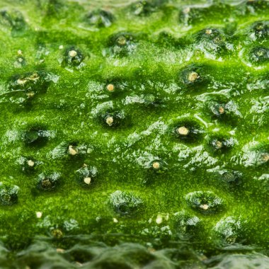Yeşil salatalık doku