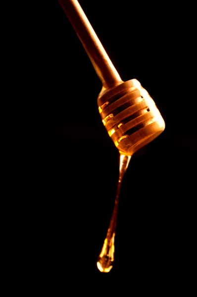 Honey stick with flowing honey — Stock Photo, Image