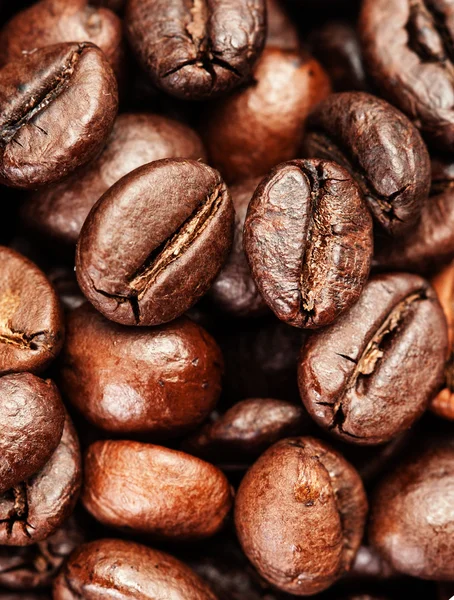 Roasted coffee beans — Stock Photo, Image