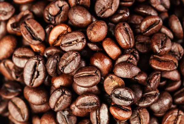 Roasted coffee beans — Stock Photo, Image