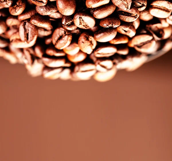 玄米コーヒー豆 — ストック写真