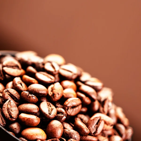 Brown coffee beans — Stock Photo, Image