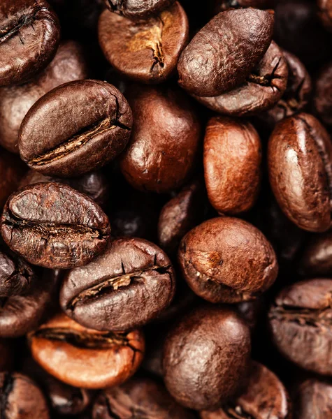 갈색 커피콩 — 스톡 사진