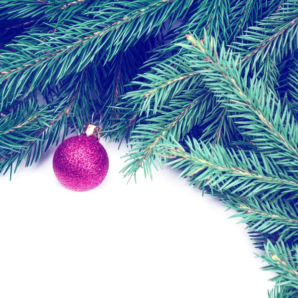 Christmas tree and red bauble — Stock Photo, Image