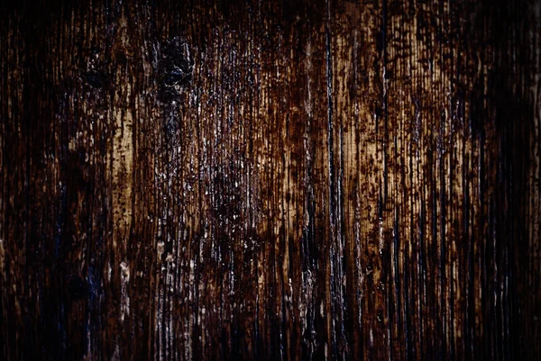 樹皮の木製の背景 — ストック写真