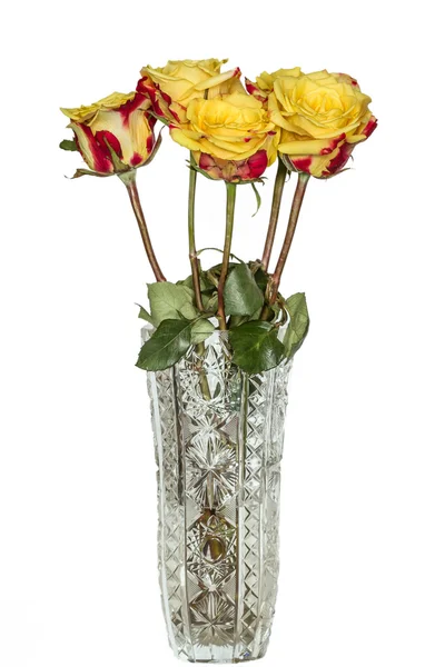 Roses in vase — Stock Photo, Image