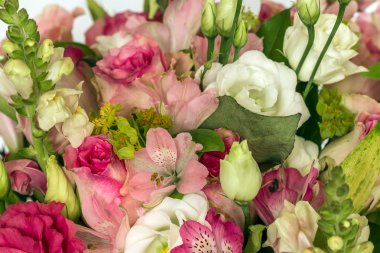 Çeşitli çiçekler kapatın