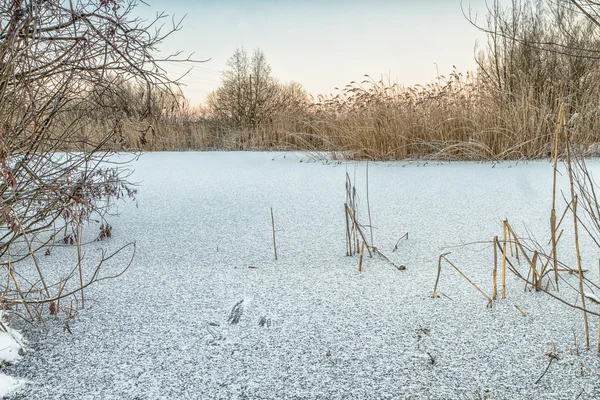 Lago en invierno — Foto de Stock