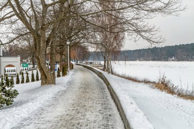 Ağaçların arasındaki iz