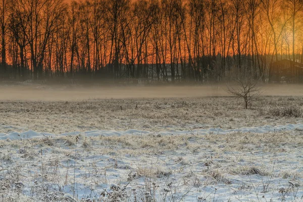 Fog on sunset — Stock Photo, Image