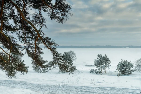 Каунасская лагуна зимой — стоковое фото
