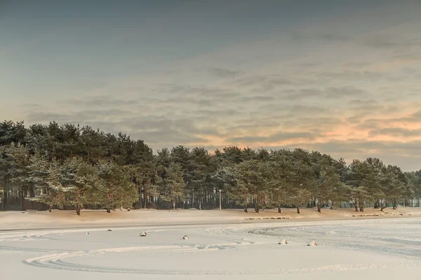 冬の冷凍ラグーン — ストック写真