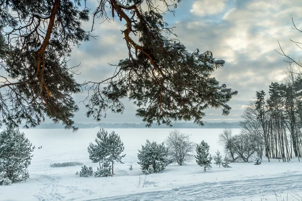 Laguna en invierno — Foto de Stock