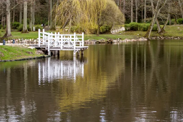 Bridge in Pond — Stock Photo, Image