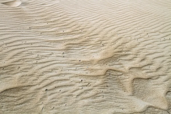 Gloss Areia perto do mar — Fotografia de Stock
