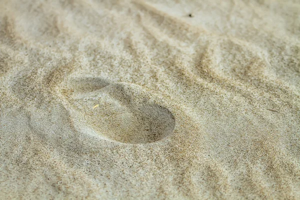 Sabbia lucida vicino al mare — Foto Stock