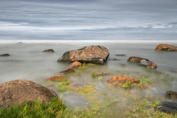 Estnische Küste im Sommer — Stockfoto