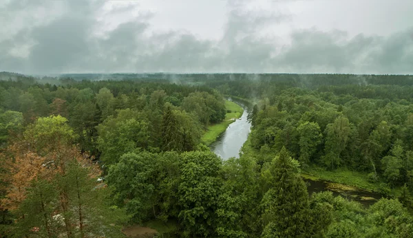 Река в лесу панорама — стоковое фото