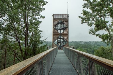 Ormanın içinde yüksek kule