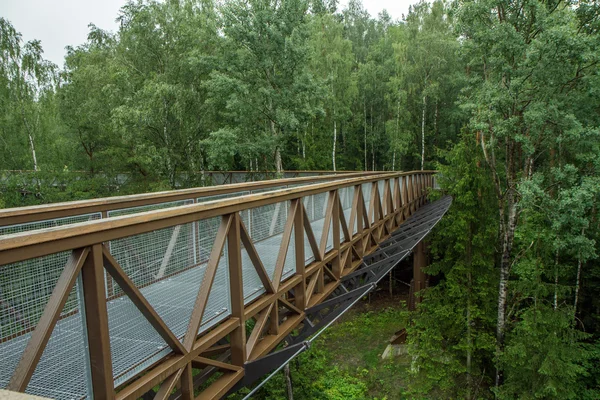 A passarela de metal acima da floresta — Fotografia de Stock