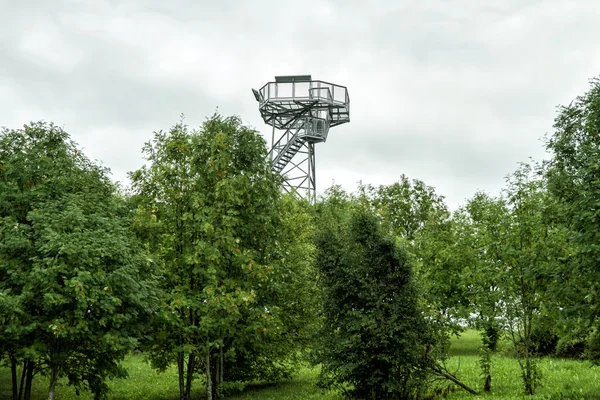 Recensioni torre nel bosco — Foto Stock