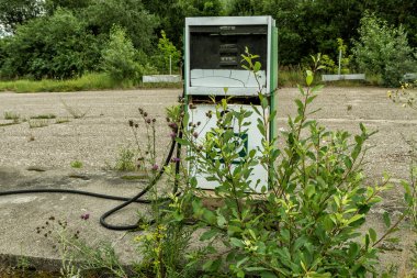 Eski benzin istasyonu Bush'larda büyümüş