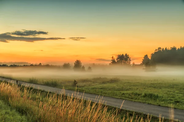 Bílá mlha pokrývá pole — Stock fotografie