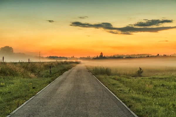 Niebla cubre el camino —  Fotos de Stock