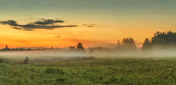 Nebel über Feldern — Stockfoto