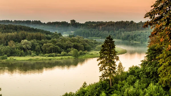 Río en la niebla — Foto de Stock