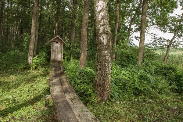 Wooden  trail to the WC — Stock Photo, Image