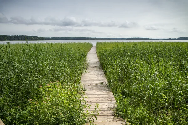 Walkway leading to the large lake — Stock Photo, Image
