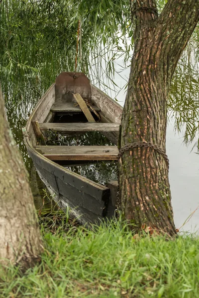 Um barco amarrado a uma árvore — Fotografia de Stock