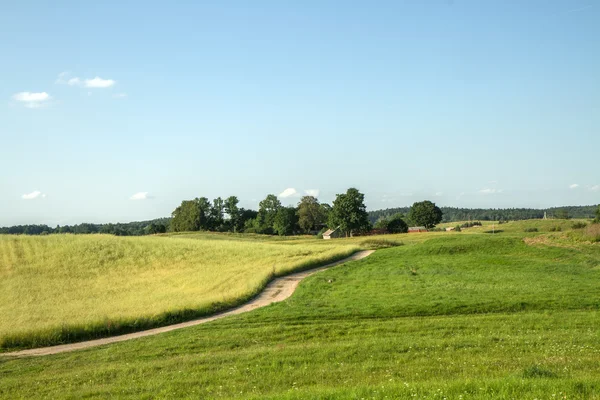 Rural fields — Stock Photo, Image