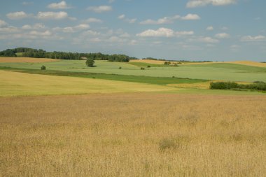 çok renkli alanları