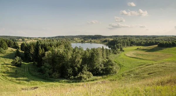 Озеро на деревьях панорама — стоковое фото