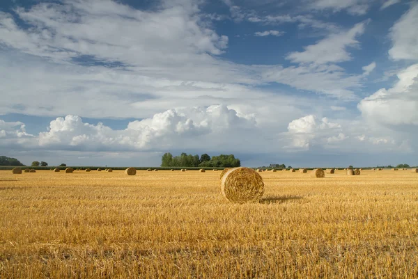 Campi dopo il raccolto — Foto Stock