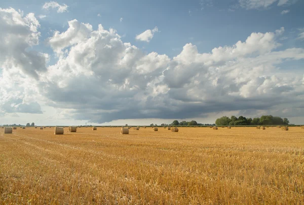 Herbstfelder — Stockfoto