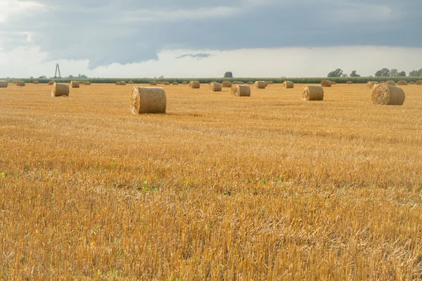 Campos de outono — Fotografia de Stock