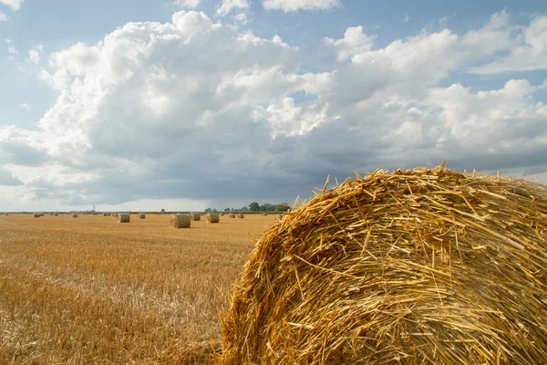 Großer Heuhaufen nach der Ernte — Stockfoto