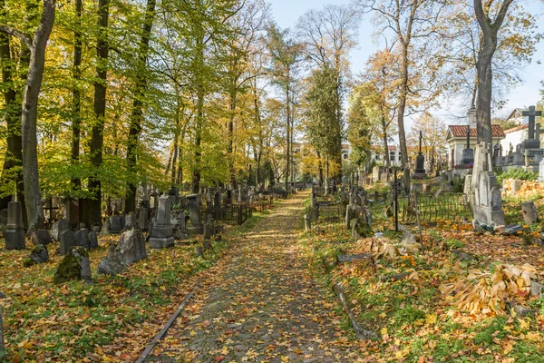 Дорога на старом кладбище — стоковое фото