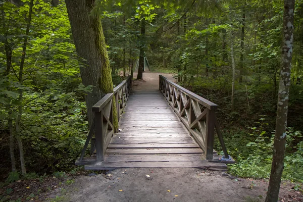 Wood bridge — Stock Photo, Image